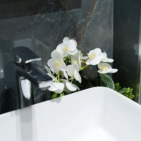 Golden Corner 3 - Sweet Escape * Тирана